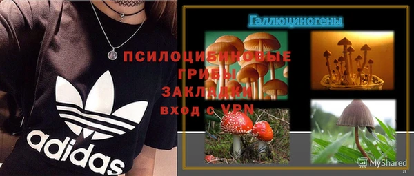 COCAINE Няндома