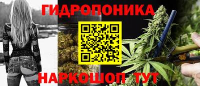 стаф Абакан