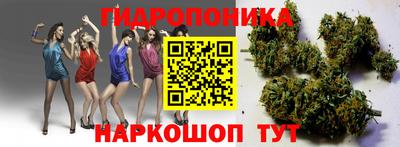 стаф Абакан