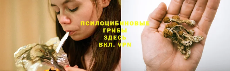 Псилоцибиновые грибы мухоморы  Ахтубинск 