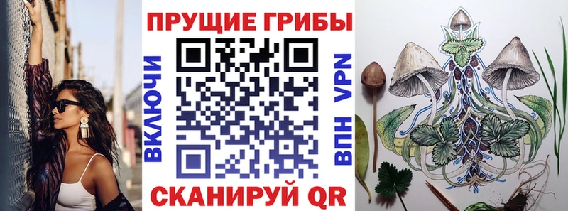 гидра зеркало  Ахтубинск  Галлюциногенные грибы Magic Shrooms  купить  