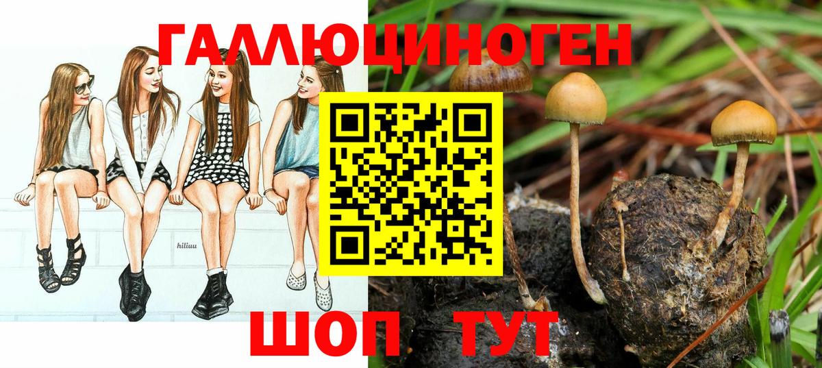 Псилоцибиновые грибы ЛСД  Ахтубинск  Псилоцибиновые грибы мицелий 