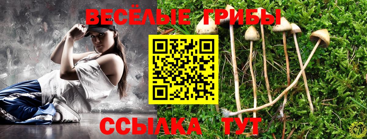Ахтубинск  закладки  Вход с VPN  Галлюциногенные грибы Magic Shrooms 